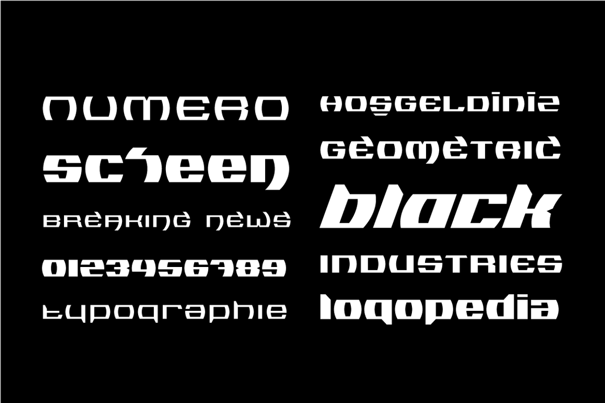 Logopedia Now, a Font by BULENT YUKSEL (Photo 10 of 11)
