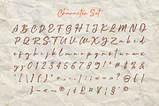 Northfield – Charming Handwritten, a Script Font by Portocraft (Thumbnail 4 of 14)