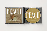 Vergen Vintage Serif Font, a Serif Font by Perfectype (Thumbnail 7 of 8)
