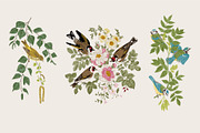 Free Birds, a Decorative Illustration by olga.korneeva (Thumbnail 4 of 11)