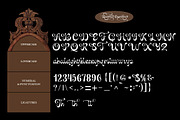 Bulgota, a Script Font by TM Type (Thumbnail 9 of 10)