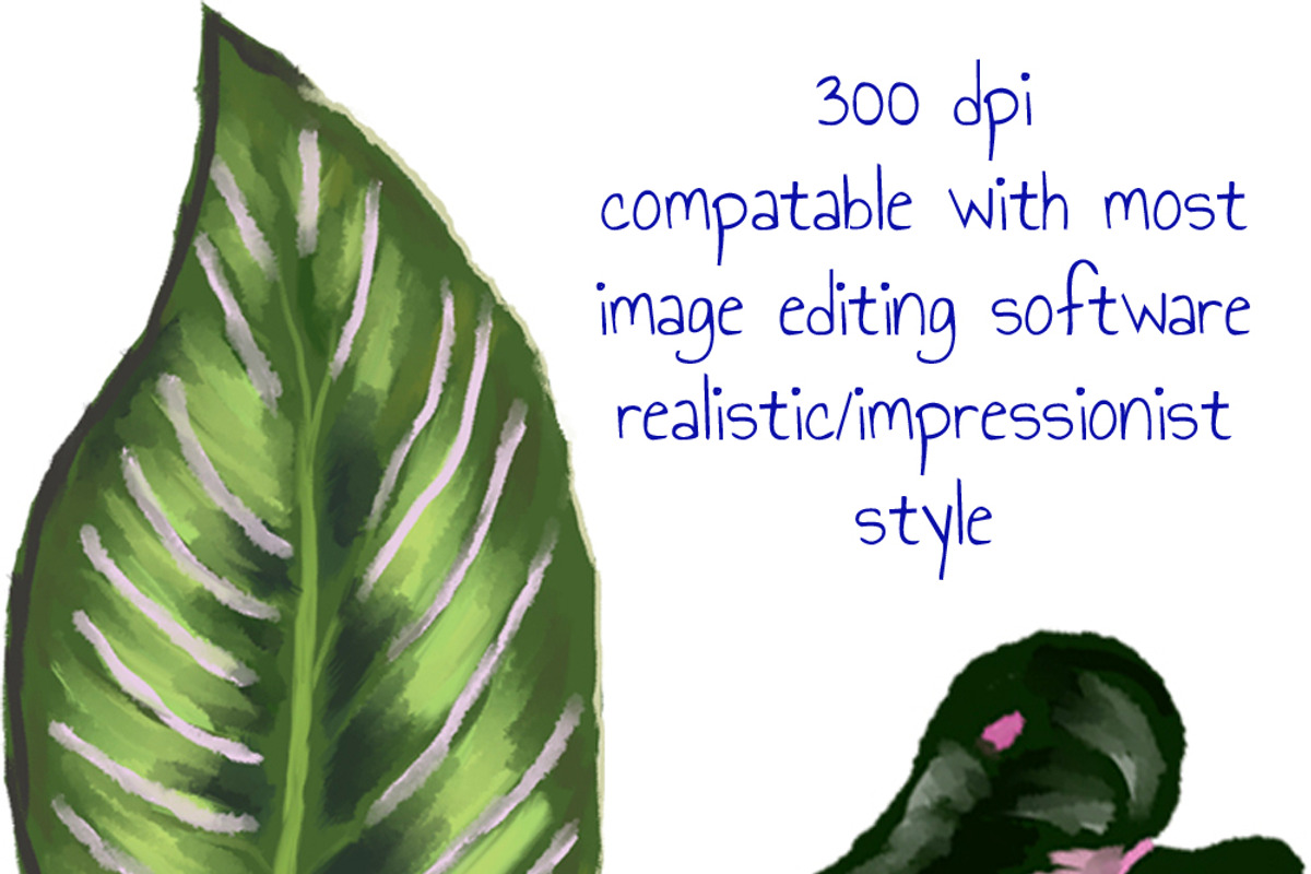 78 houseplant leaf illustrations, an Object Illustration by KimmiDrawsThings (Photo 2 of 2)