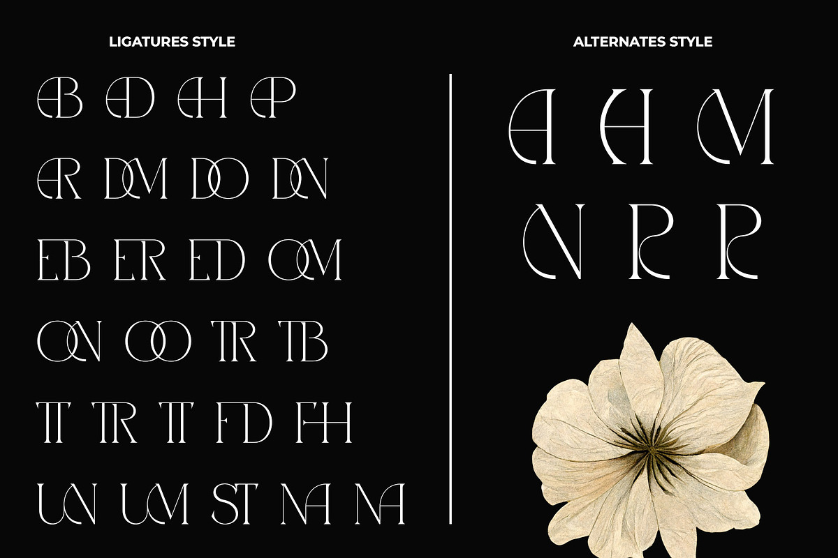 Mabrina Elegant Ligature Serif, a Serif Font by Alfinart (Photo 9 of 9)