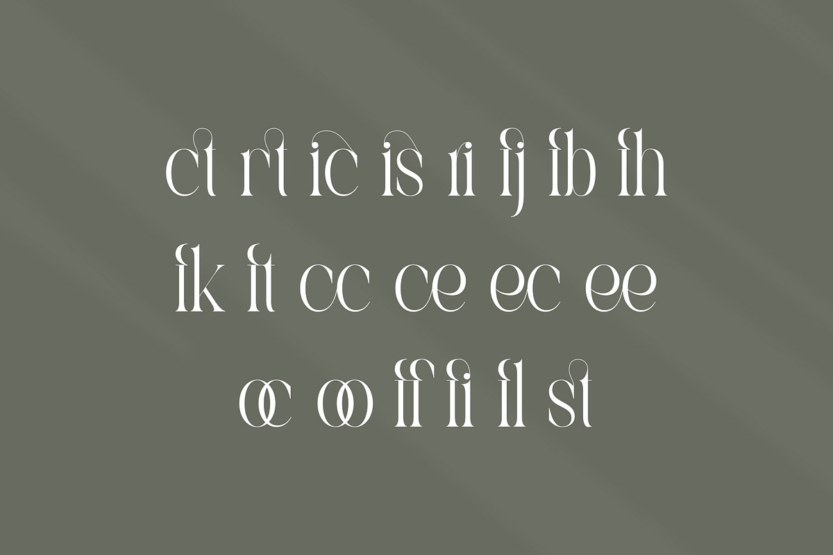 Castica - Modern Serif Font, a Serif Font by Aqeel_Art (Photo 11 of 12)