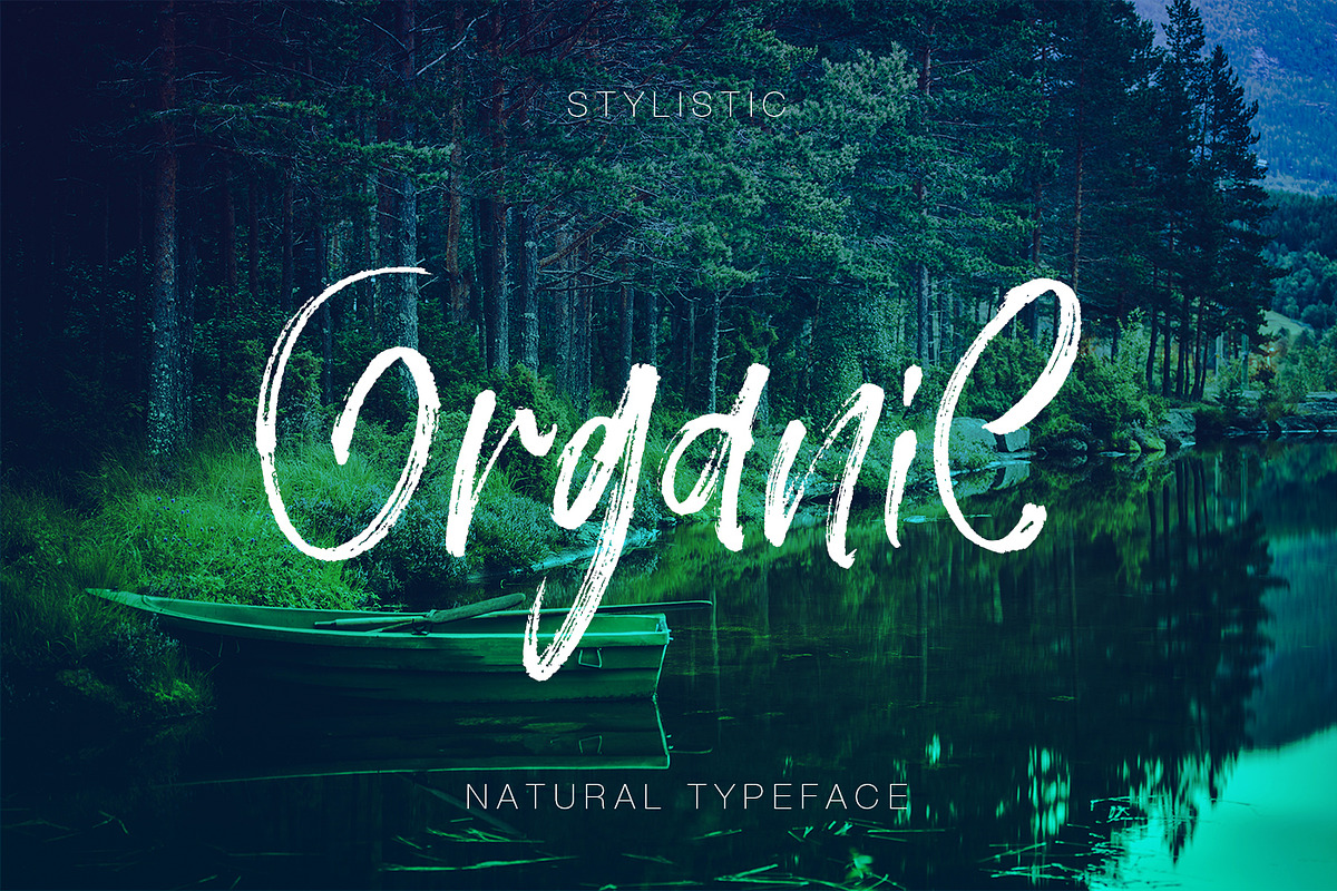 Wild Kogsit, a Script Font by Design Dukkan (Photo 11 of 12)