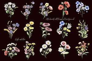 Watercolor Field Flowers Collection