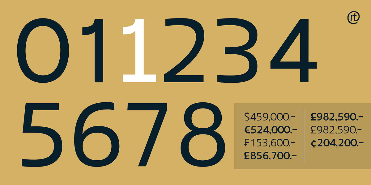 Coppint, a Sans Serif Font by Ridtype Foundry (Photo 11 of 12)