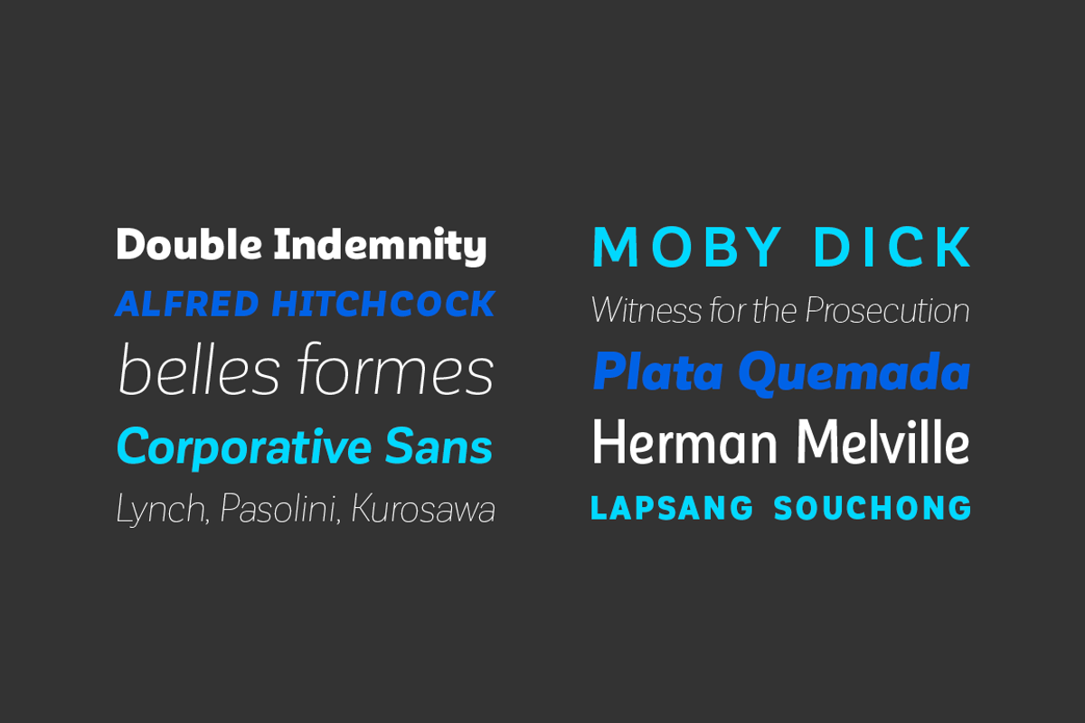 Corporative Sans - Family 50% off preview 2