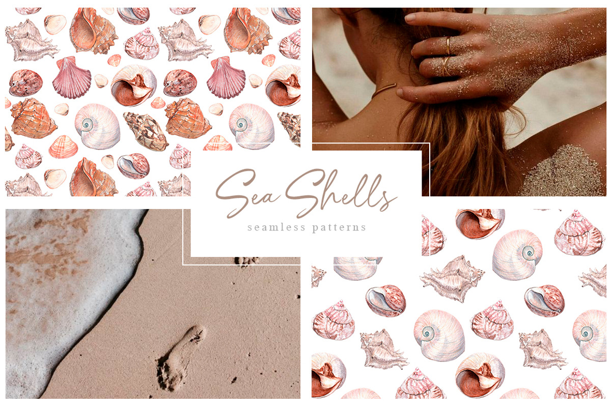 Sea shells Watercolor collection, an Illustration by CrystalinaShop (Photo 2 of 5)