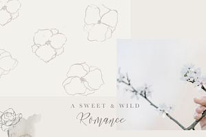 Graceful Floral Illustrations Bundle