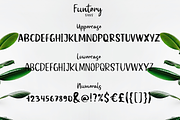 Funtery, a Script Font by Larin Type Co. (Thumbnail 10 of 10)