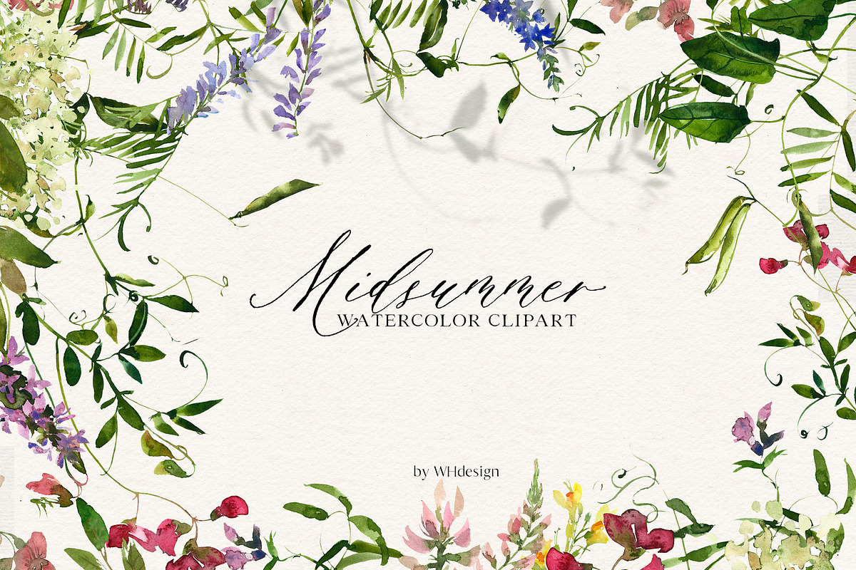 Midsummer - field flowers clipart, a Decorative Illustration by whiteheartdesign (Photo 1 of 16)