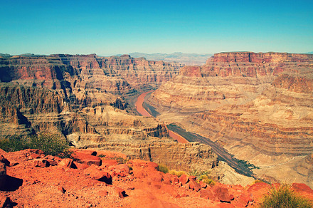 Agave In Grand Canyon preview 6