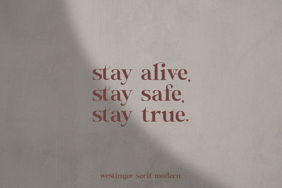 Wastinger Elegant Display, a Serif Font by Typetemp Studio (Photo 12 of 16)