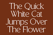 CS Florens Drawn, a Serif Font by Craft Supply Co. (Thumbnail 2 of 8)