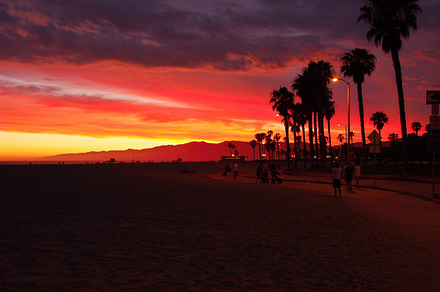California sunset featuring sunset, california, and palms