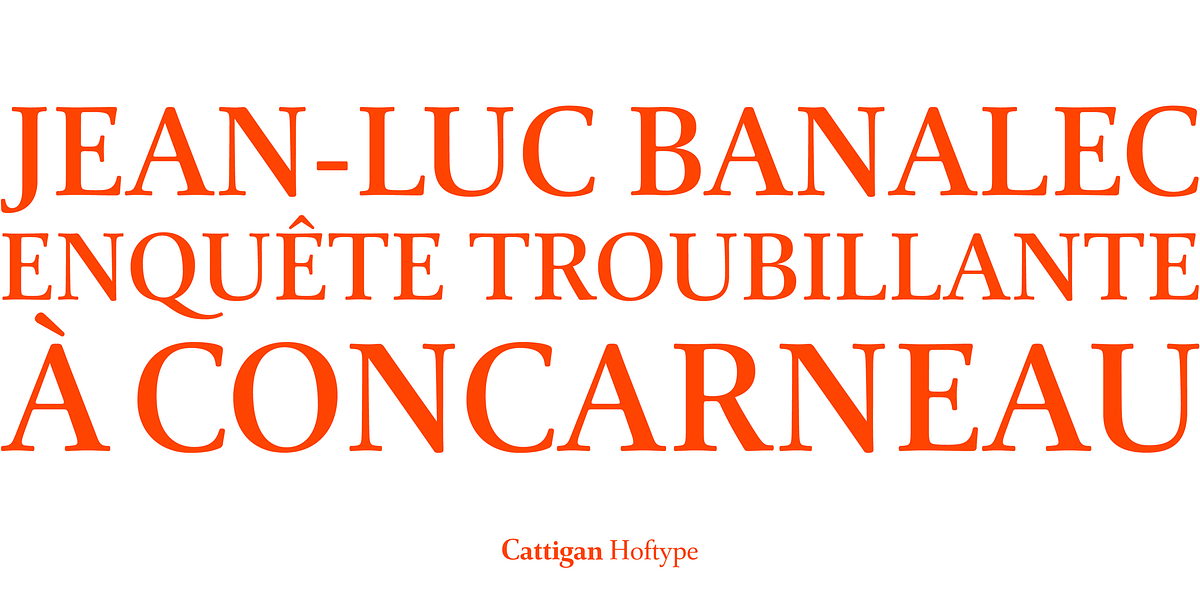 Cattigan, a Serif Font by Hoftype (Photo 13 of 15)
