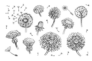 Dandelions: Set Patterns