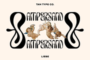 TAN - LIEBE, a Font by TanType (Thumbnail 10 of 12)