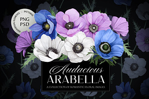 Audacious Arabella