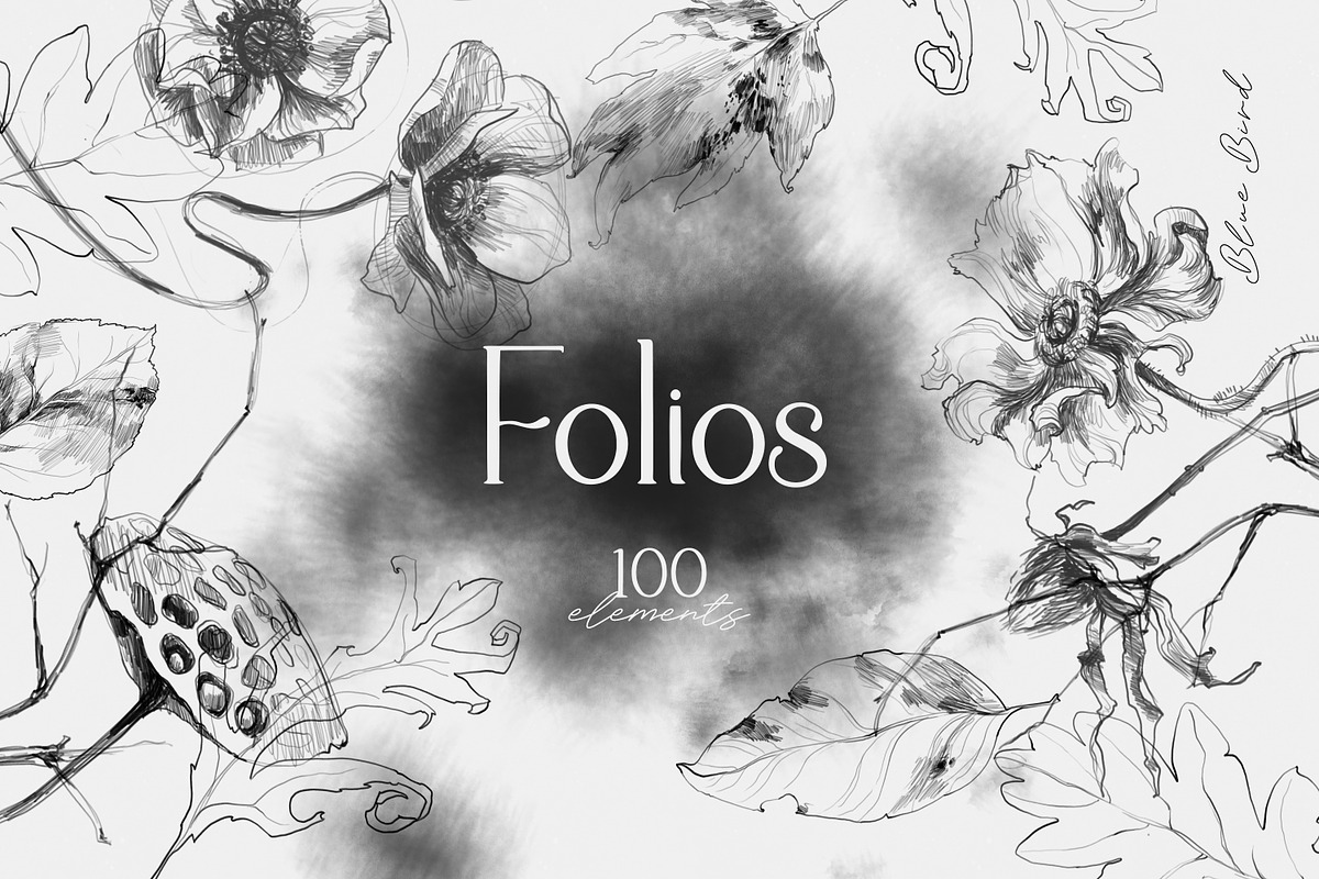 Folios. Botanical illustrations, an Object Illustration by Colden Blue (Photo 1 of 13)