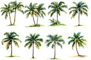 Watercolor Tropical Palm Trees, an Illustration by Designworld (Thumbnail 4 of 6)