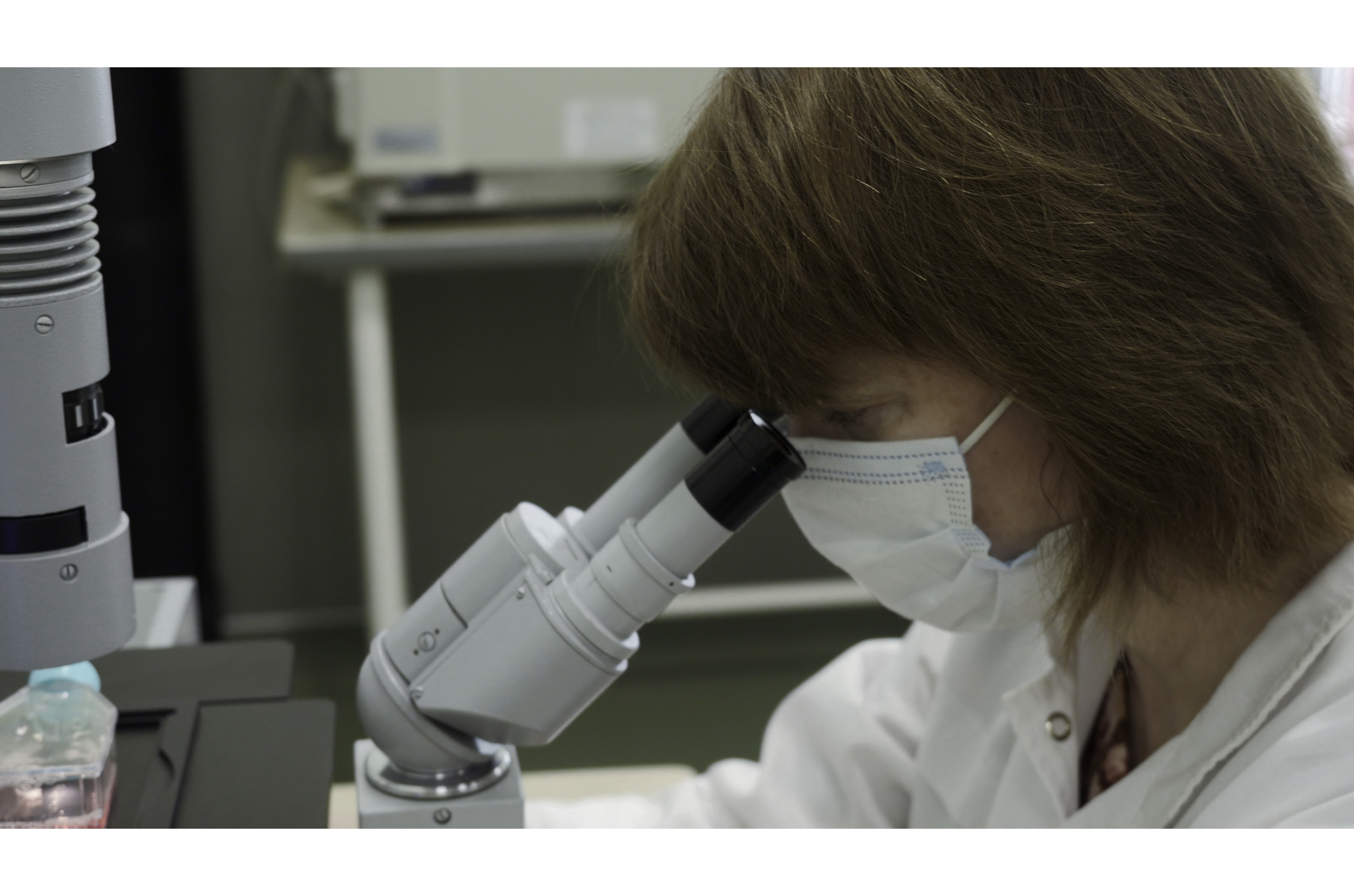 Woman looks through microscope in, a Technology Photo by Media Whale Stock