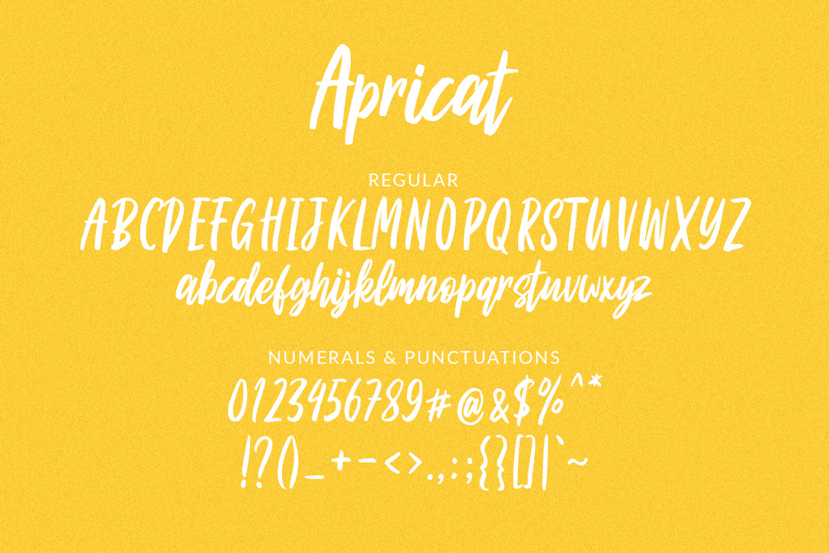 Apricat Brush Script preview 7