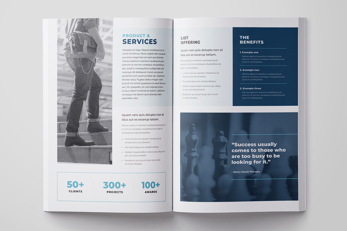 Company Profile, Business Profile, a Brochure Template by Niofix (Photo 5 of 6)