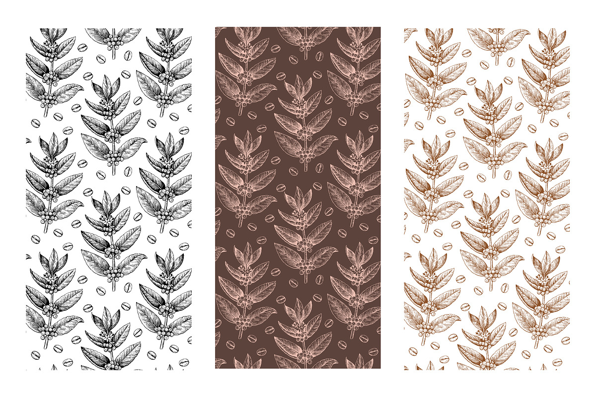 Cacao, tea and coffee illustrations, a Food Illustration by Robusta (Photo 6 of 7)
