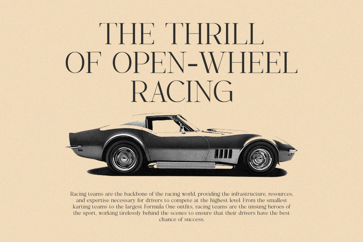 Caster Modern Chic Serif, a Serif Font by Eternity Studio (Photo 7 of 10)