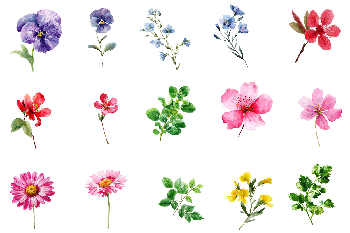Watercolor Clipart  PRETTY HEALTH, an Illustration by Designworld (Photo 2 of 4)