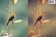 Old Film Lightroom Presets, a Preset Add-On by ARTSYNO (Thumbnail 2 of 5)