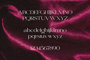 Velvet - Expanded & Elegant Serif, a Serif Font by Misha Sova (Thumbnail 7 of 8)