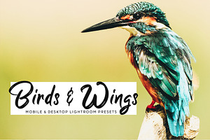 Birds & Wings Lightroom Presets Pack