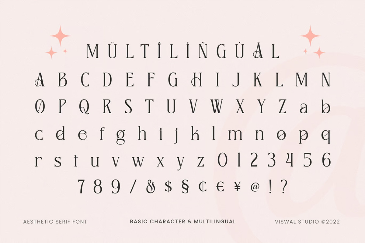 Aligers - Modern Font, a Serif Font by Viswal Studio (Photo 4 of 5)