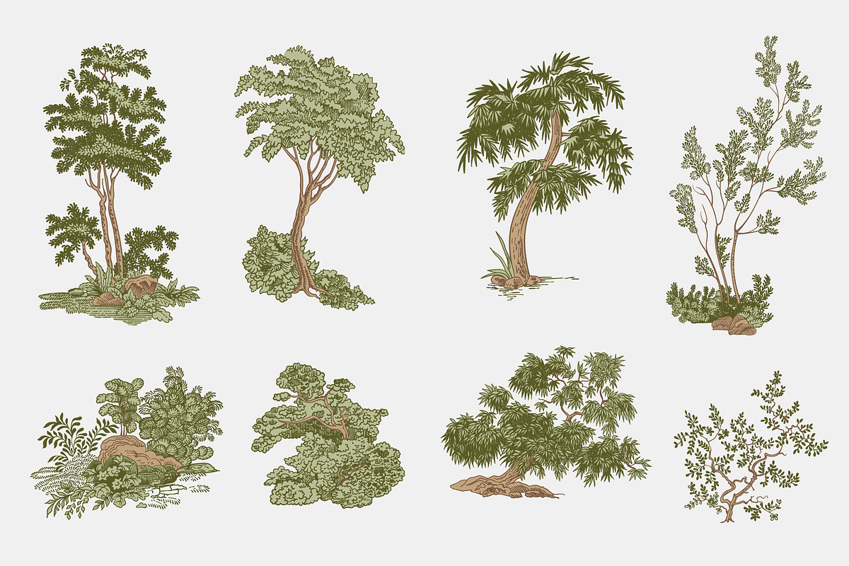Woodland, a Decorative Illustration by olga.korneeva (Photo 2 of 12)