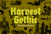 HARVEST GOTHIC Illustrations, a Seasonal Illustration by Desert Poetic (Thumbnail 1 of 10)