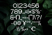 Boqda Elegant Serif Font, a Serif Font by Artiveko (Thumbnail 5 of 8)