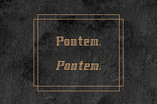 Pontem family-Light*50% off