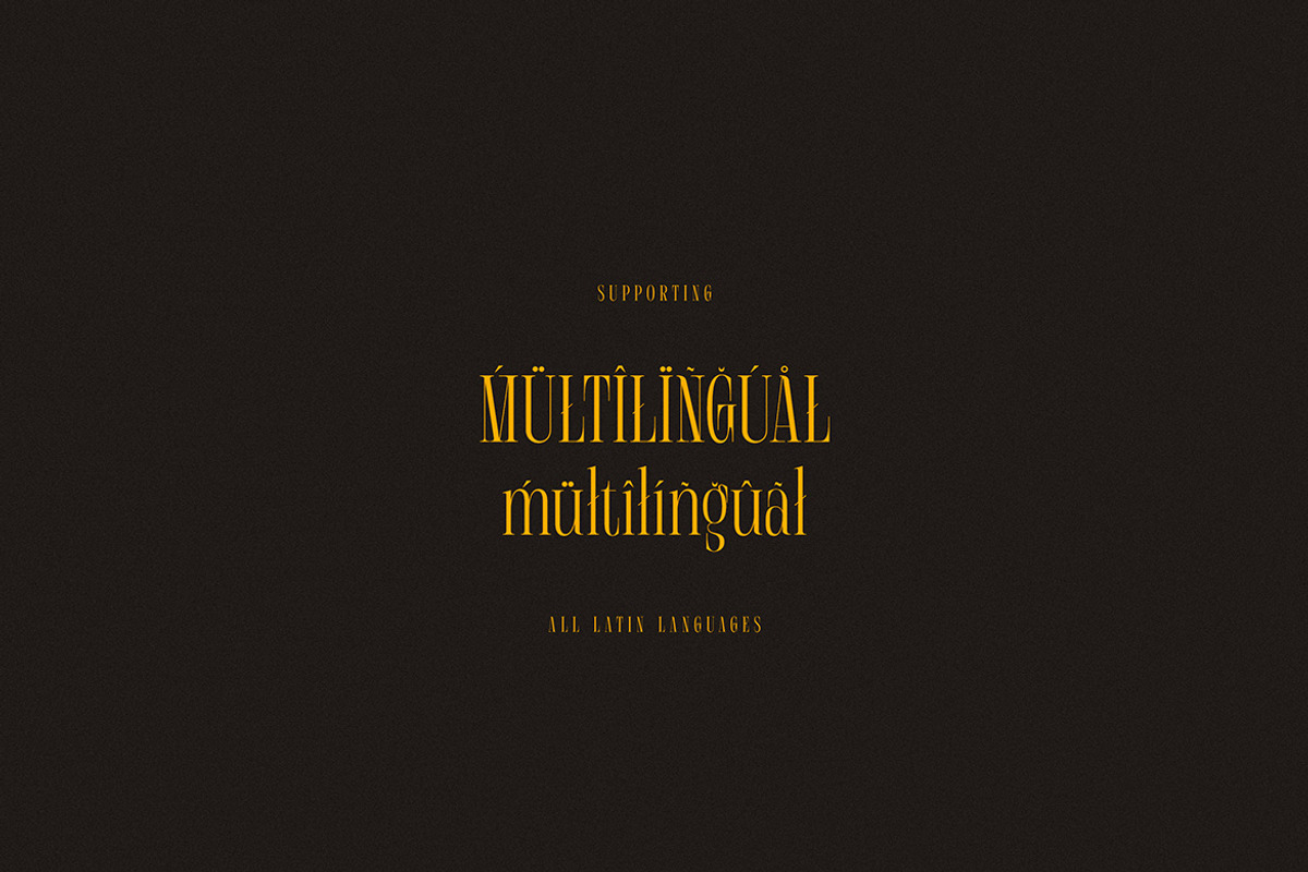 Michael Carsl Condensed Serif, a Serif Font by Cruzine (Photo 8 of 8)