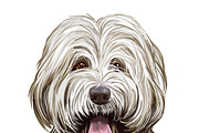 Poodle Cross Breeds 27 Dogs/Puppies, an Animal Illustration by Dneprstock (Thumbnail 21 of 27)