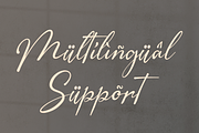The Morteffis | Modern Calligraphphy, a Script Font by Denustudios (Thumbnail 15 of 15)