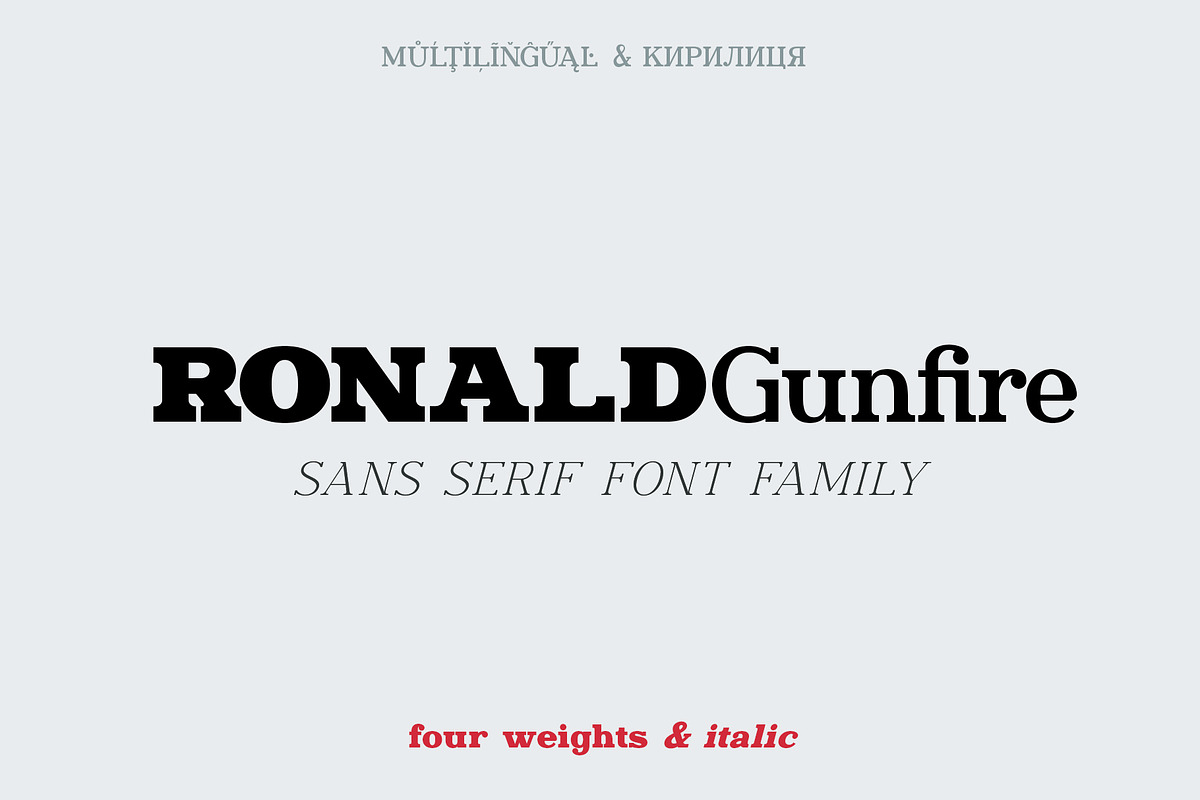 Ronald Gunfire Serif Font Family, a Slab Serif Font by Sentavio (Photo 1 of 12)