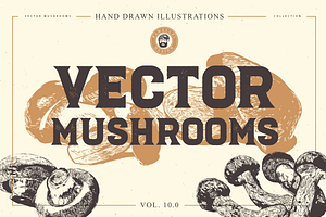 VECTOR MUSHROOMS BUNDLE 10.0