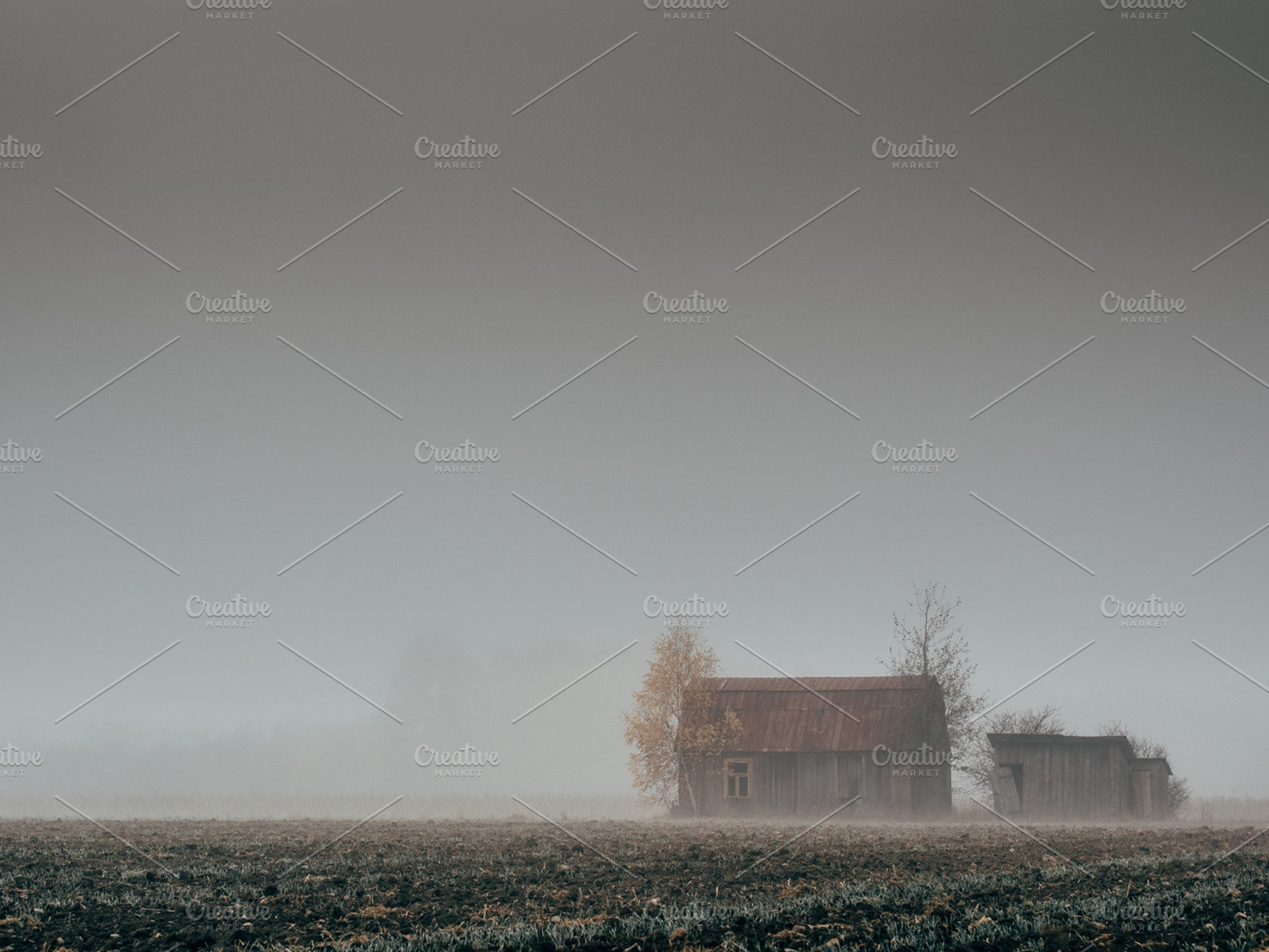 Foggy field containing farm, field, and fog, a Nature Photo by Pawel Kadysz