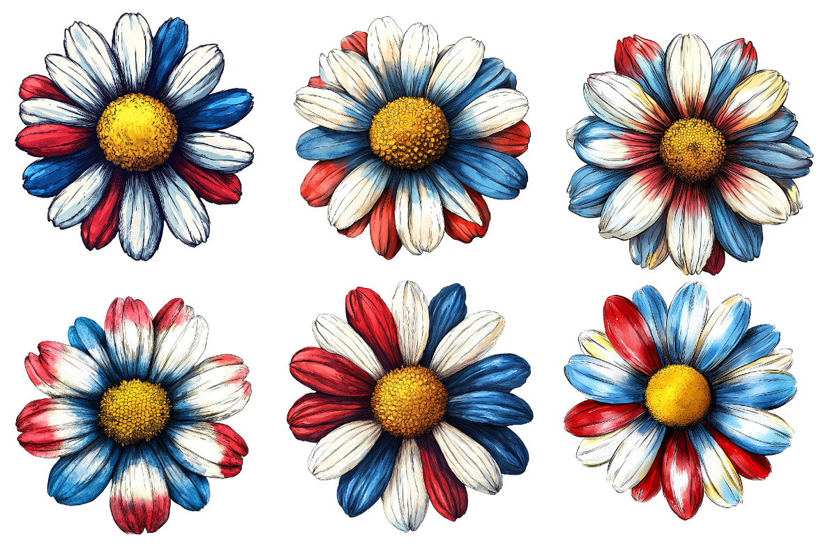 American Flag Daisy Flower 4th of, an Illustration by Designworld (Photo 4 of 9)
