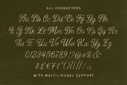Nuances Affection Handwritten Script, a Script Font by Letterhend Studio (Thumbnail 7 of 10)