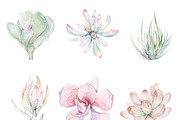 Watercolor Succulent Plants, an Object Illustration by ArtbyHien (Thumbnail 2 of 4)