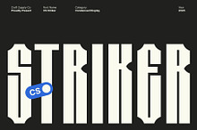 CS Striker – Condensed Display
